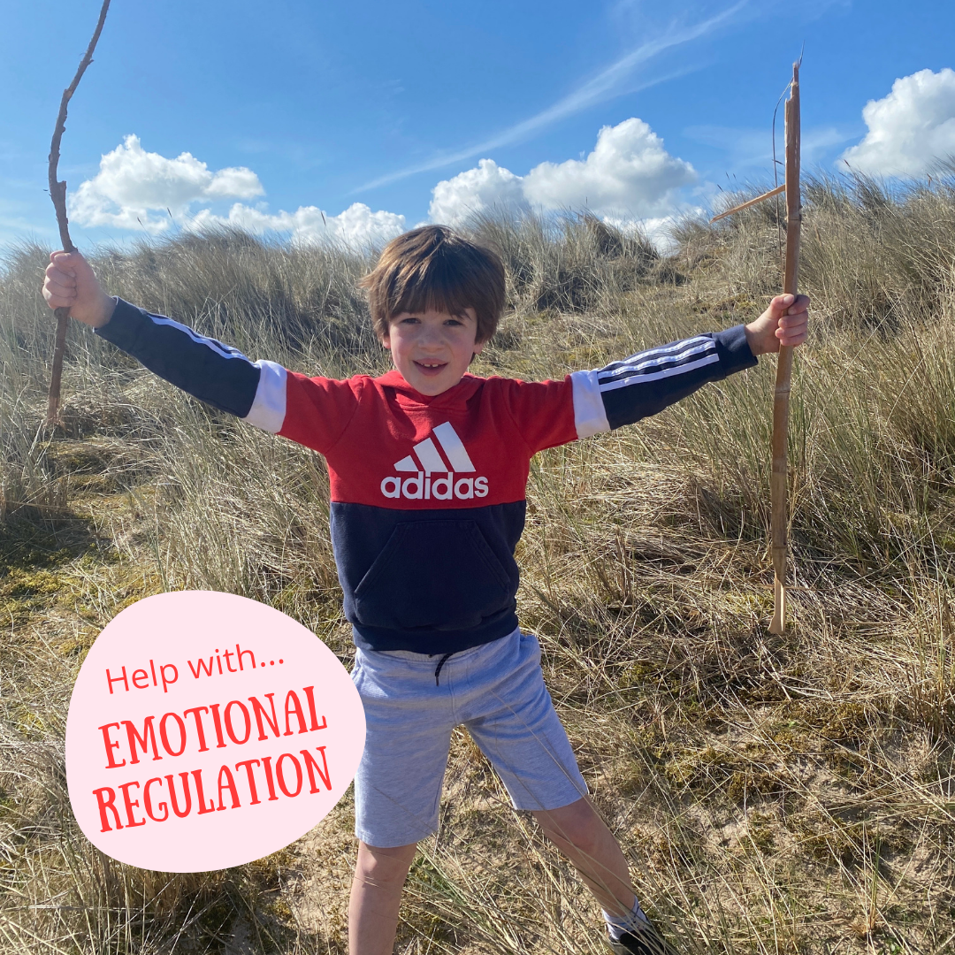 Help with Emotional Regulation.