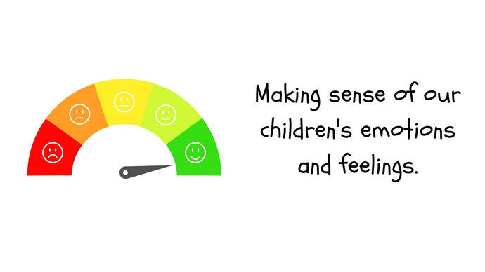 Making sense of our children's emotions and feelings!